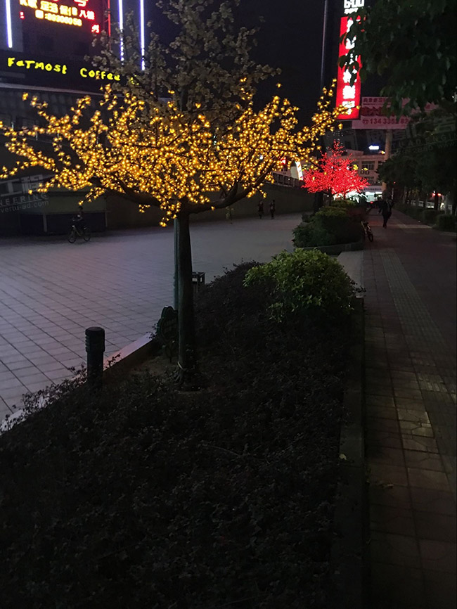 树木灯光亮化工程