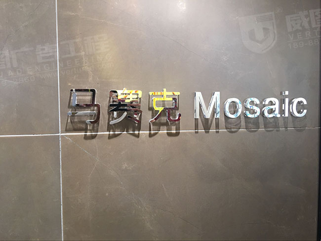 Mosaic马赛克品牌店logo背景墙水晶字效果图